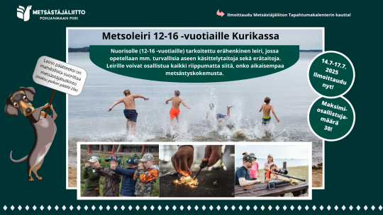Metsoleiri 12-16 -vuotiaille Kurikassa